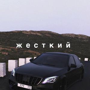 另类獸交的女人小說
